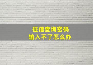 征信查询密码输入不了怎么办