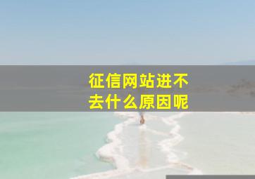 征信网站进不去什么原因呢