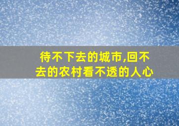 待不下去的城市,回不去的农村看不透的人心