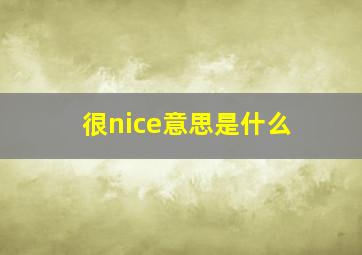 很nice意思是什么