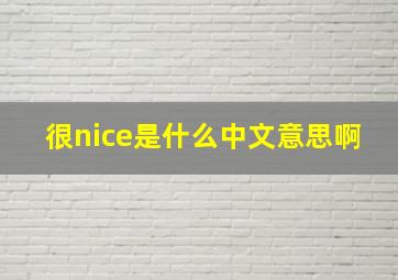 很nice是什么中文意思啊