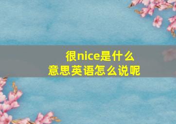 很nice是什么意思英语怎么说呢