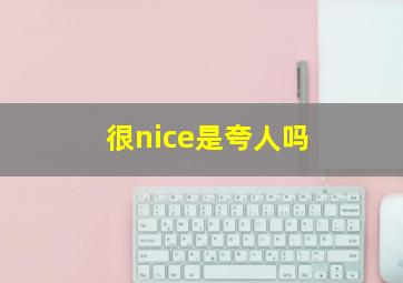 很nice是夸人吗