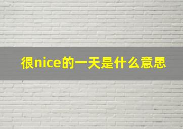 很nice的一天是什么意思