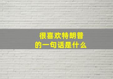 很喜欢特朗普的一句话是什么