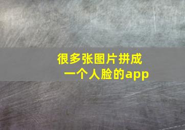 很多张图片拼成一个人脸的app