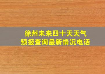 徐州未来四十天天气预报查询最新情况电话