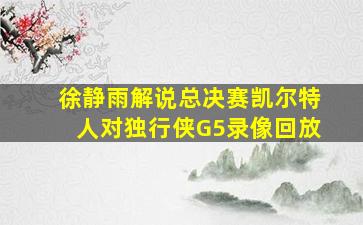 徐静雨解说总决赛凯尔特人对独行侠G5录像回放