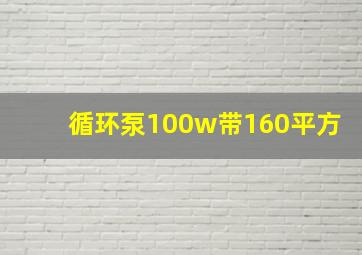 循环泵100w带160平方