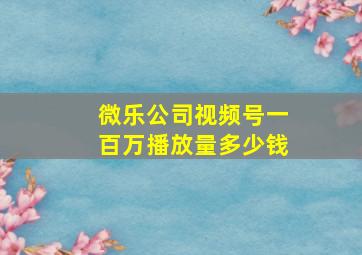 微乐公司视频号一百万播放量多少钱