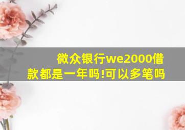 微众银行we2000借款都是一年吗!可以多笔吗