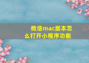 微信mac版本怎么打开小程序功能