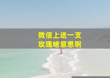 微信上送一支玫瑰啥意思啊