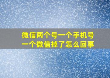 微信两个号一个手机号一个微信掉了怎么回事