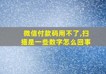 微信付款码用不了,扫描是一些数字怎么回事