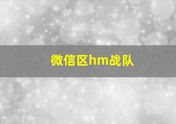 微信区hm战队