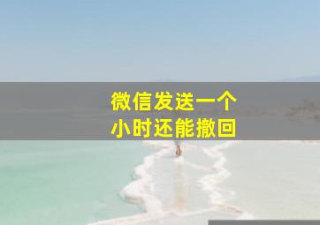 微信发送一个小时还能撤回