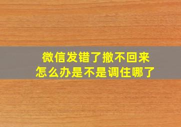 微信发错了撤不回来怎么办是不是调住哪了