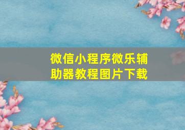 微信小程序微乐辅助器教程图片下载