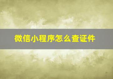 微信小程序怎么查证件