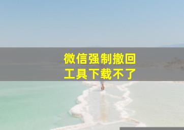 微信强制撤回工具下载不了