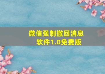 微信强制撤回消息软件1.0免费版