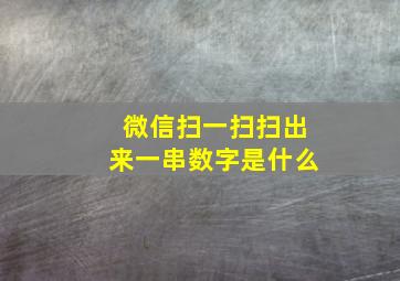 微信扫一扫扫出来一串数字是什么