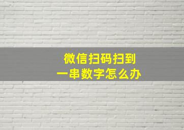 微信扫码扫到一串数字怎么办