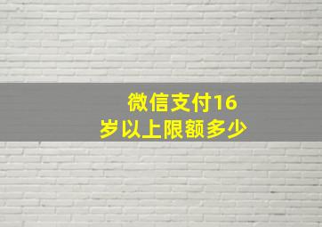 微信支付16岁以上限额多少