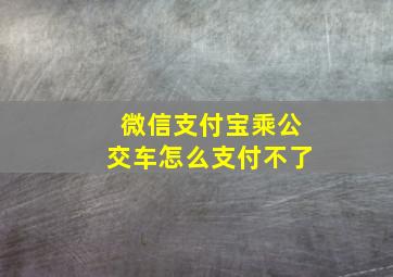 微信支付宝乘公交车怎么支付不了