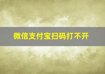 微信支付宝扫码打不开