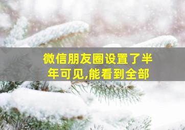 微信朋友圈设置了半年可见,能看到全部