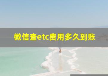 微信查etc费用多久到账