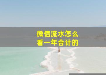 微信流水怎么看一年合计的