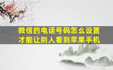 微信的电话号码怎么设置才能让别人看到苹果手机