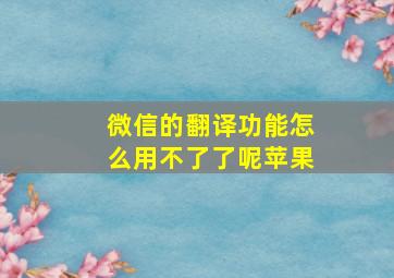 微信的翻译功能怎么用不了了呢苹果