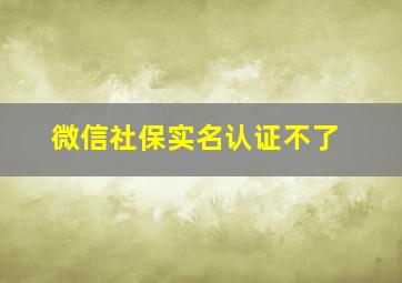 微信社保实名认证不了