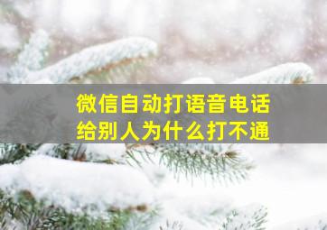 微信自动打语音电话给别人为什么打不通