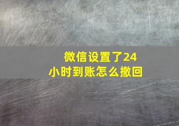 微信设置了24小时到账怎么撤回