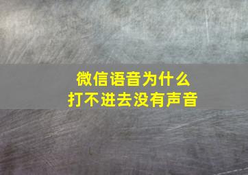 微信语音为什么打不进去没有声音