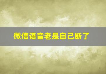 微信语音老是自己断了