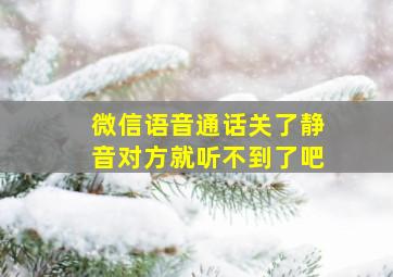 微信语音通话关了静音对方就听不到了吧