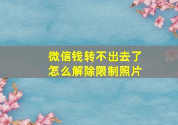 微信钱转不出去了怎么解除限制照片