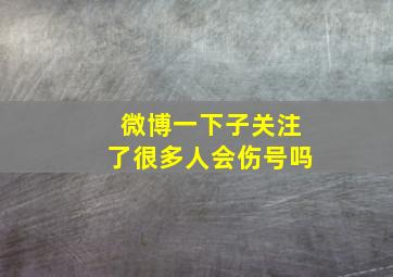 微博一下子关注了很多人会伤号吗