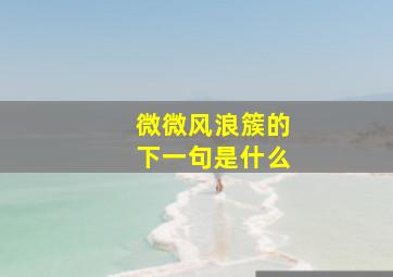 微微风浪簇的下一句是什么