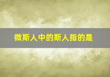 微斯人中的斯人指的是