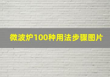 微波炉100种用法步骤图片