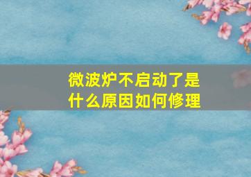 微波炉不启动了是什么原因如何修理