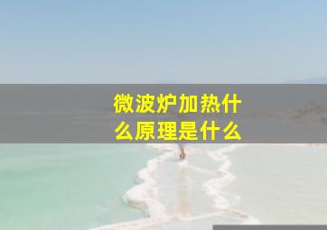 微波炉加热什么原理是什么