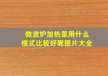 微波炉加热菜用什么模式比较好呢图片大全